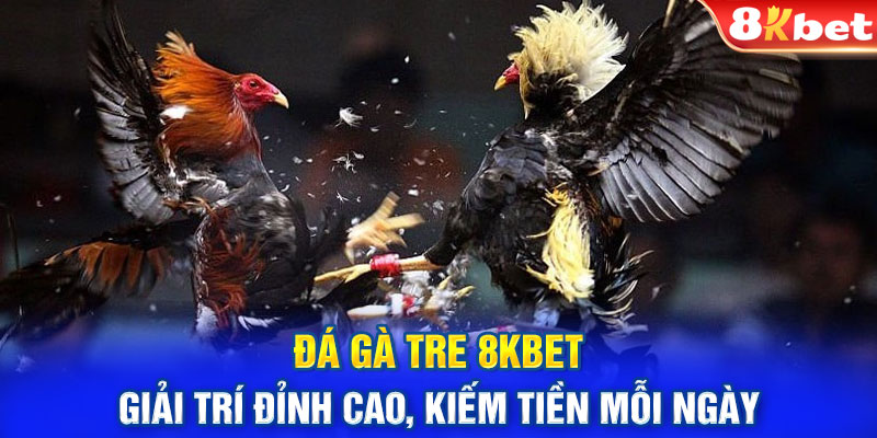 Đá Gà Tre 8KBET: Giải Trí Đỉnh Cao, Kiếm Tiền Mỗi Ngày